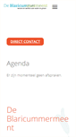 Mobile Screenshot of deblaricummermeent.nl